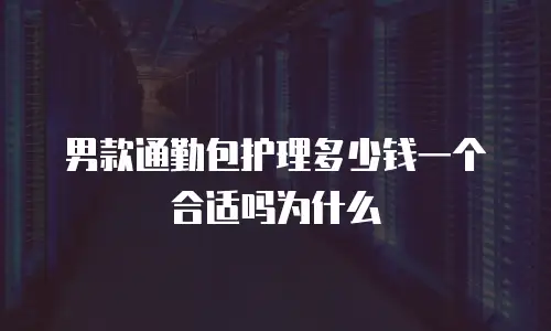 男款通勤包护理多少钱一个合适吗为什么