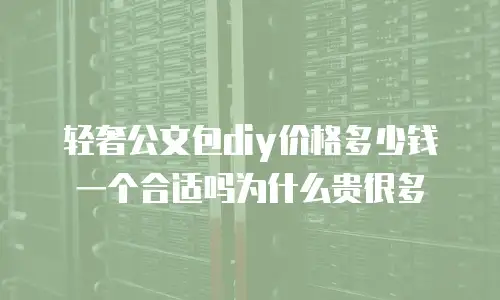 轻奢公文包diy价格多少钱一个合适吗为什么贵很多