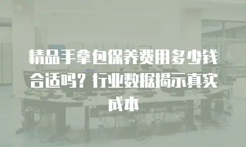 精品手拿包保养费用多少钱合适吗？行业数据揭示真实成本