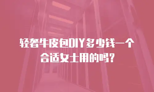 轻奢牛皮包DIY多少钱一个合适女士用的吗？