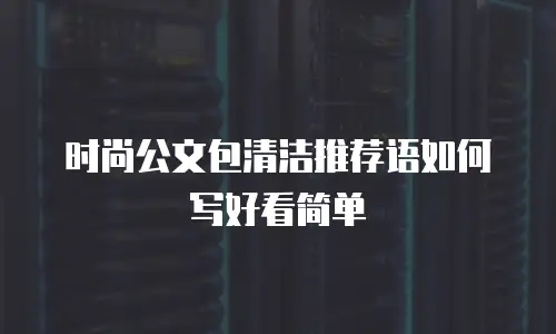 时尚公文包清洁推荐语如何写好看简单