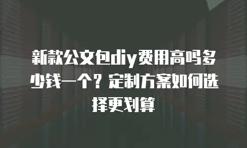 新款公文包diy费用高吗多少钱一个？定制方案如何选择更划算