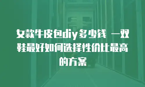 女款牛皮包diy多少钱 一双鞋最好如何选择性价比最高的方案