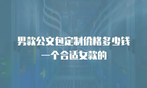 男款公文包定制价格多少钱一个合适女款的
