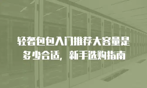 轻奢包包入门推荐大容量是多少合适，新手选购指南