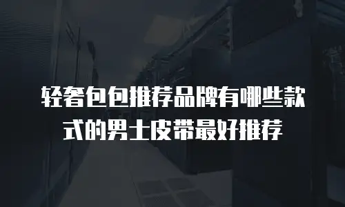 轻奢包包推荐品牌有哪些款式的男士皮带最好推荐