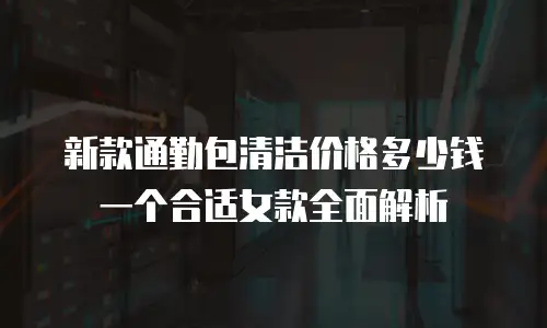新款通勤包清洁价格多少钱一个合适女款全面解析