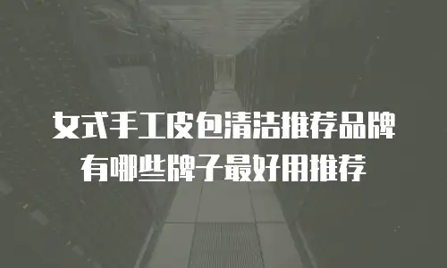 女式手工皮包清洁推荐品牌有哪些牌子最好用推荐