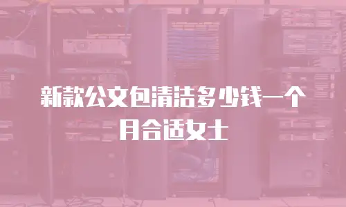 新款公文包清洁多少钱一个月合适女士