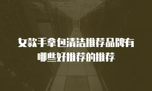 女款手拿包清洁推荐品牌有哪些好推荐的推荐