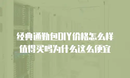 经典通勤包DIY价格怎么样值得买吗为什么这么便宜