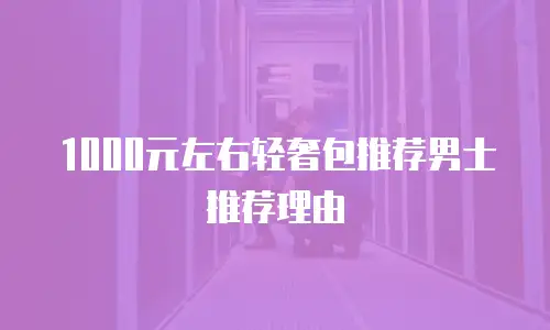 1000元左右轻奢包推荐男士推荐理由