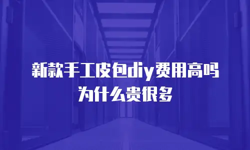 新款手工皮包diy费用高吗为什么贵很多
