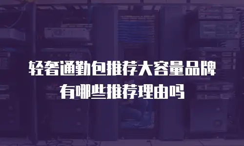 轻奢通勤包推荐大容量品牌有哪些推荐理由吗
