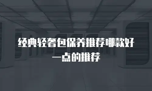 经典轻奢包保养推荐哪款好一点的推荐