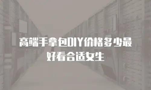 高端手拿包DIY价格多少最好看合适女生