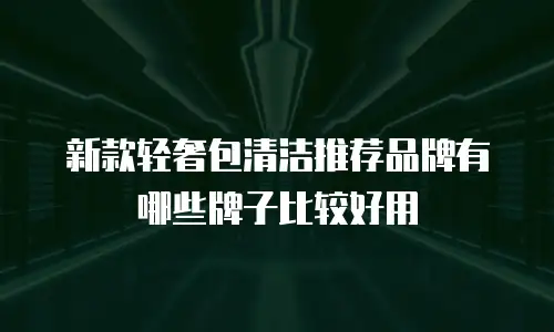 新款轻奢包清洁推荐品牌有哪些牌子比较好用