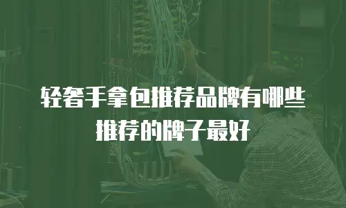 轻奢手拿包推荐品牌有哪些推荐的牌子最好