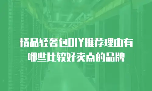 精品轻奢包DIY推荐理由有哪些比较好卖点的品牌