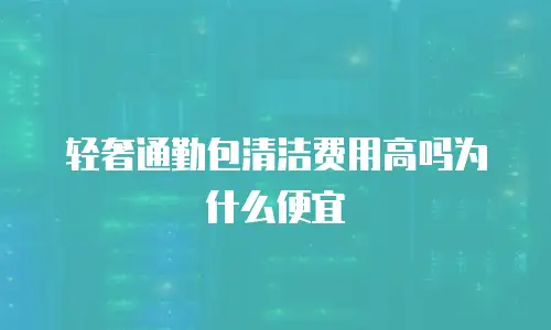 轻奢通勤包清洁费用高吗为什么便宜