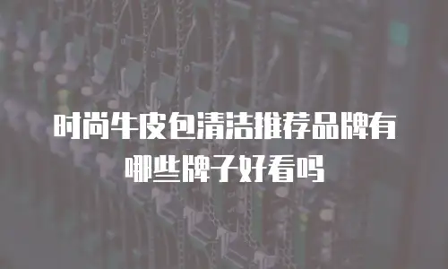 时尚牛皮包清洁推荐品牌有哪些牌子好看吗