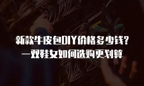 新款牛皮包DIY价格多少钱？一双鞋女如何选购更划算