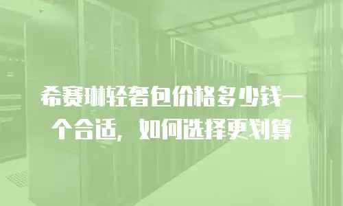 希赛琳轻奢包价格多少钱一个合适，如何选择更划算