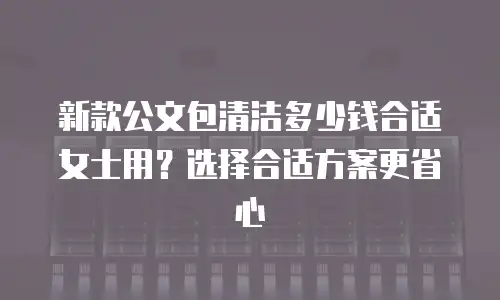 新款公文包清洁多少钱合适女士用？选择合适方案更省心