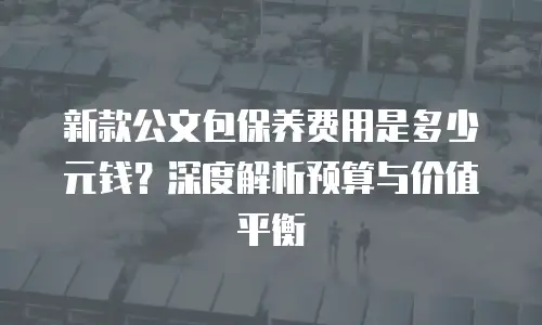 新款公文包保养费用是多少元钱？深度解析预算与价值平衡
