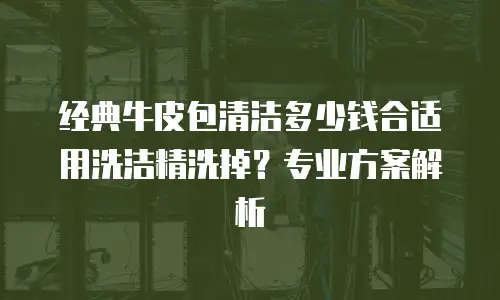 经典牛皮包清洁多少钱合适用洗洁精洗掉？专业方案解析