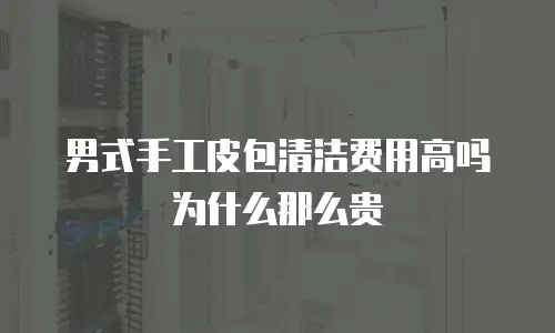 男式手工皮包清洁费用高吗为什么那么贵