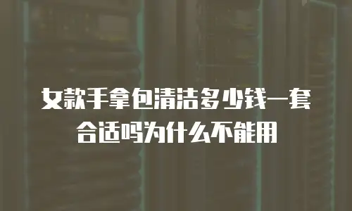 女款手拿包清洁多少钱一套合适吗为什么不能用