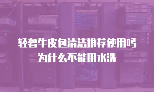 轻奢牛皮包清洁推荐使用吗为什么不能用水洗