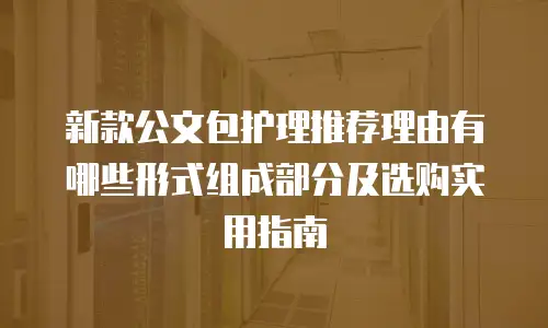 新款公文包护理推荐理由有哪些形式组成部分及选购实用指南
