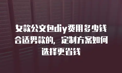 女款公文包diy费用多少钱合适男款的，定制方案如何选择更省钱