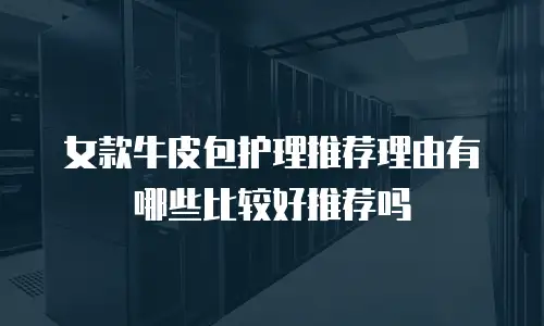 女款牛皮包护理推荐理由有哪些比较好推荐吗