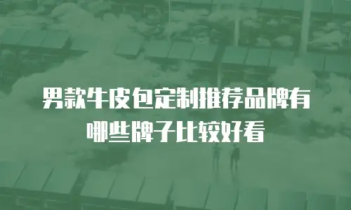 男款牛皮包定制推荐品牌有哪些牌子比较好看