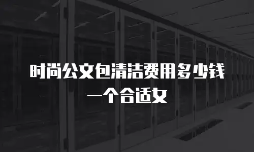 时尚公文包清洁费用多少钱一个合适女