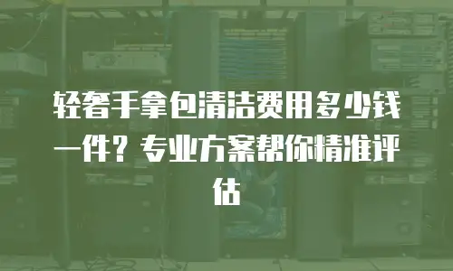 轻奢手拿包清洁费用多少钱一件？专业方案帮你精准评估