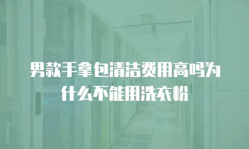 男款手拿包清洁费用高吗为什么不能用洗衣粉