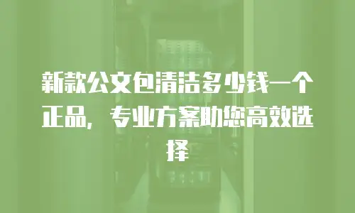 新款公文包清洁多少钱一个正品，专业方案助您高效选择