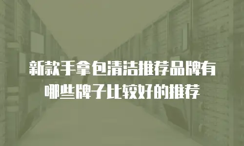 新款手拿包清洁推荐品牌有哪些牌子比较好的推荐
