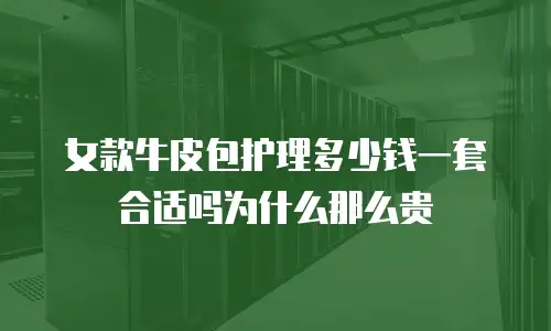 女款牛皮包护理多少钱一套合适吗为什么那么贵