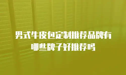 男式牛皮包定制推荐品牌有哪些牌子好推荐吗