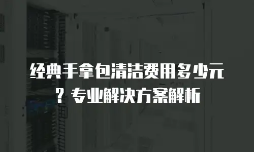 经典手拿包清洁费用多少元？专业解决方案解析