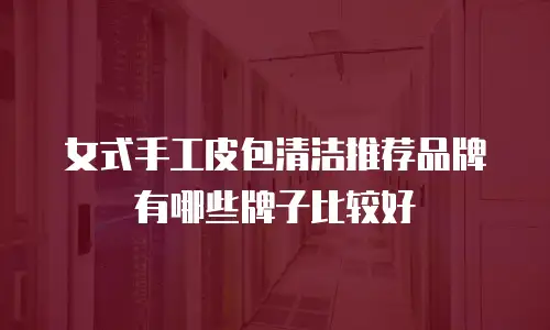 女式手工皮包清洁推荐品牌有哪些牌子比较好