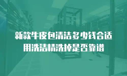新款牛皮包清洁多少钱合适 用洗洁精洗掉是否靠谱