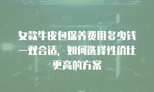 女款牛皮包保养费用多少钱一双合适，如何选择性价比更高的方案