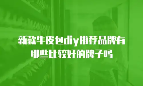 新款牛皮包diy推荐品牌有哪些比较好的牌子吗