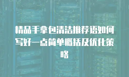 精品手拿包清洁推荐语如何写好一点简单概括及优化策略
